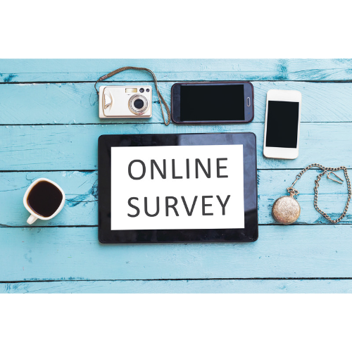 Online Survey