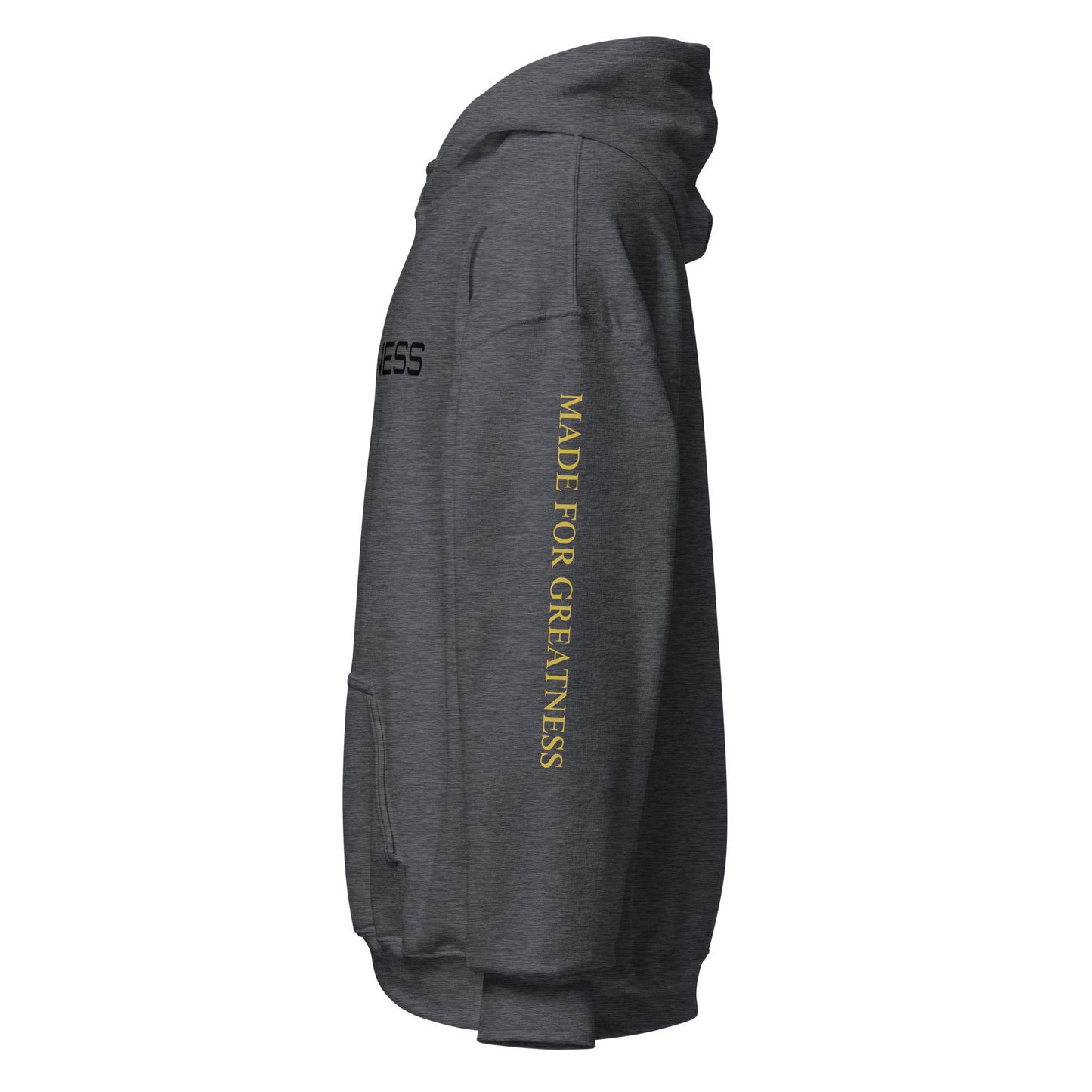 GR8NESS Unisex Hoodie