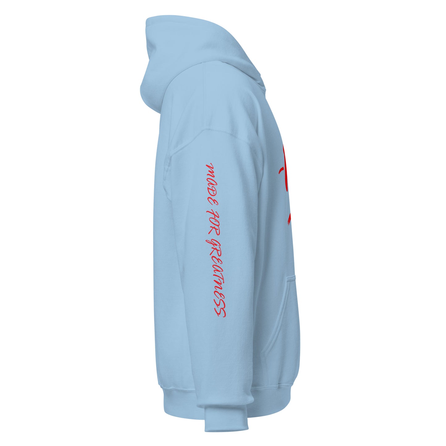 -100 = Move 100 Hoodie