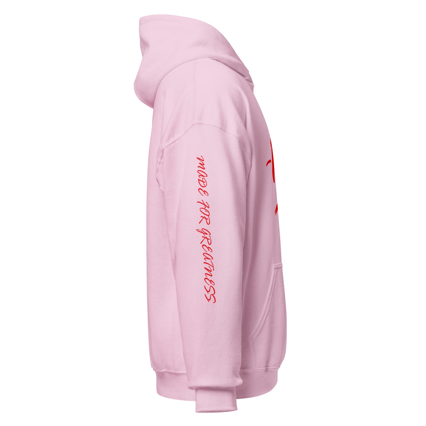 -100 = Move 100 Hoodie